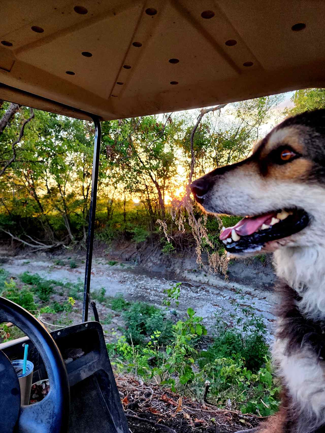 The PARK at Brushy Creek