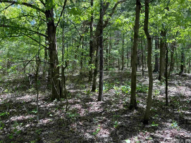 True Ozark Mountains Off-Grid.