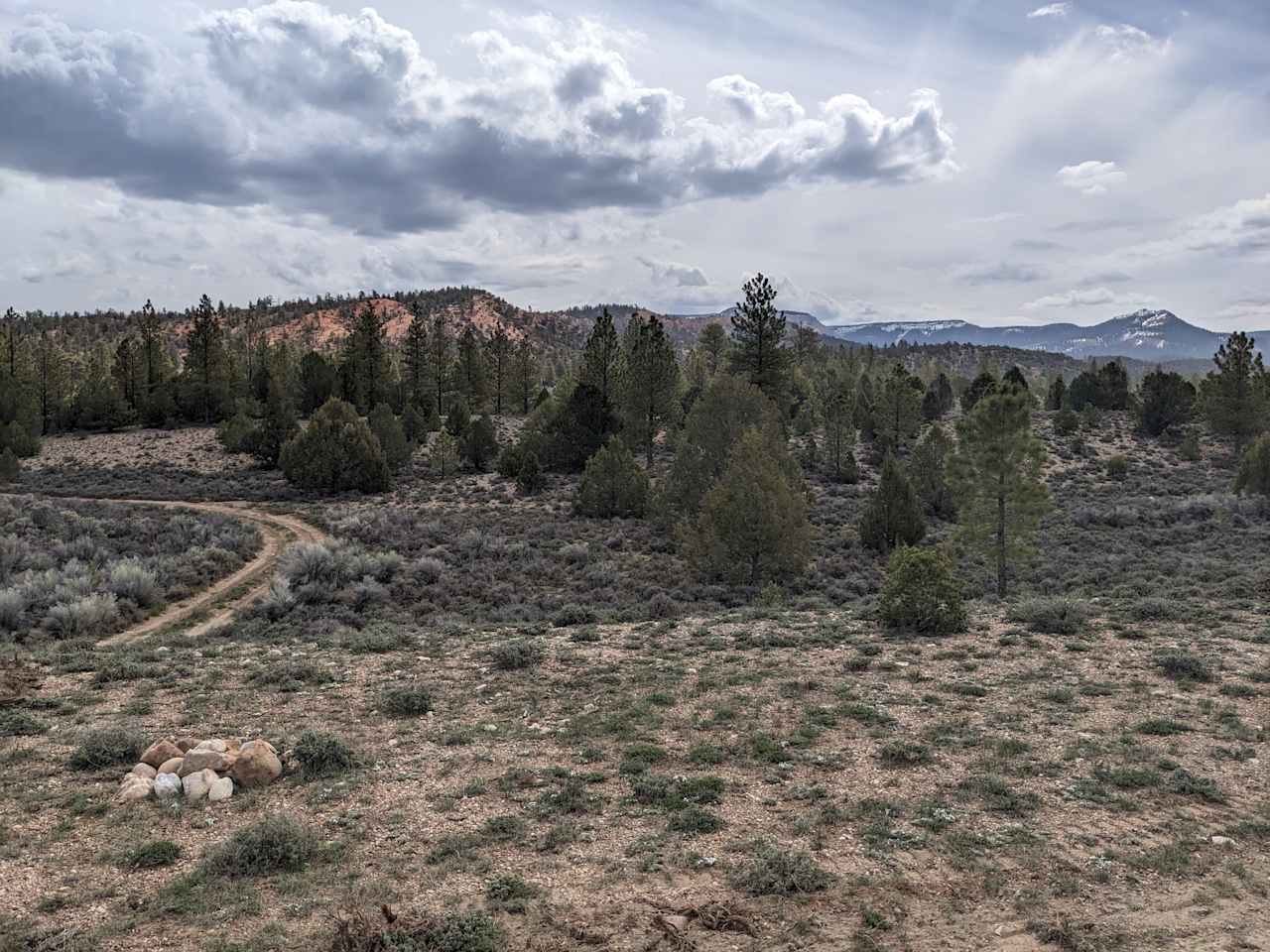 View from site entrance near site 5 and 6