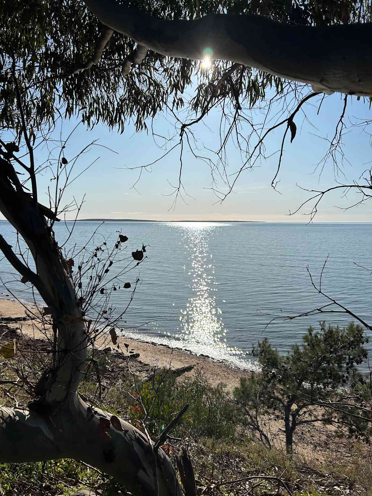 Tiatukia Farm Campsite by the Sea