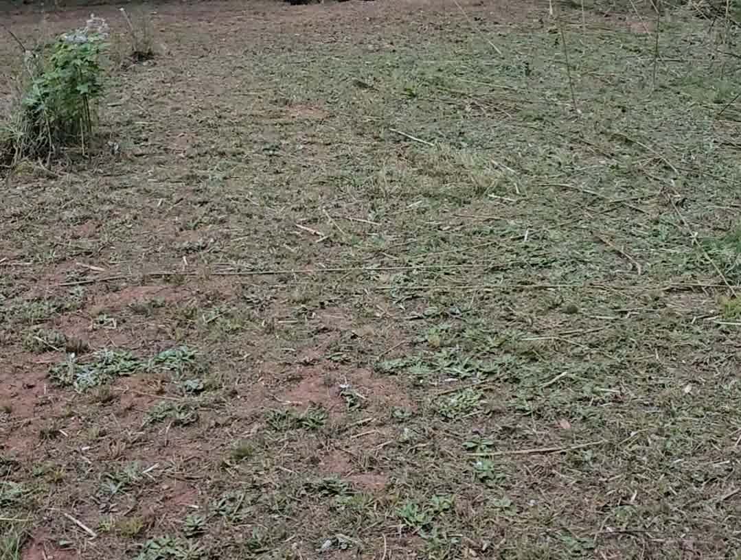 Kazmi Campsite