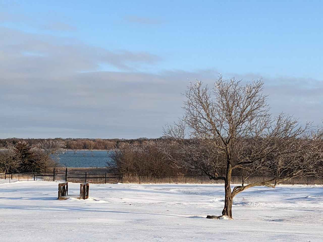 Every now and then it snows in Texas!