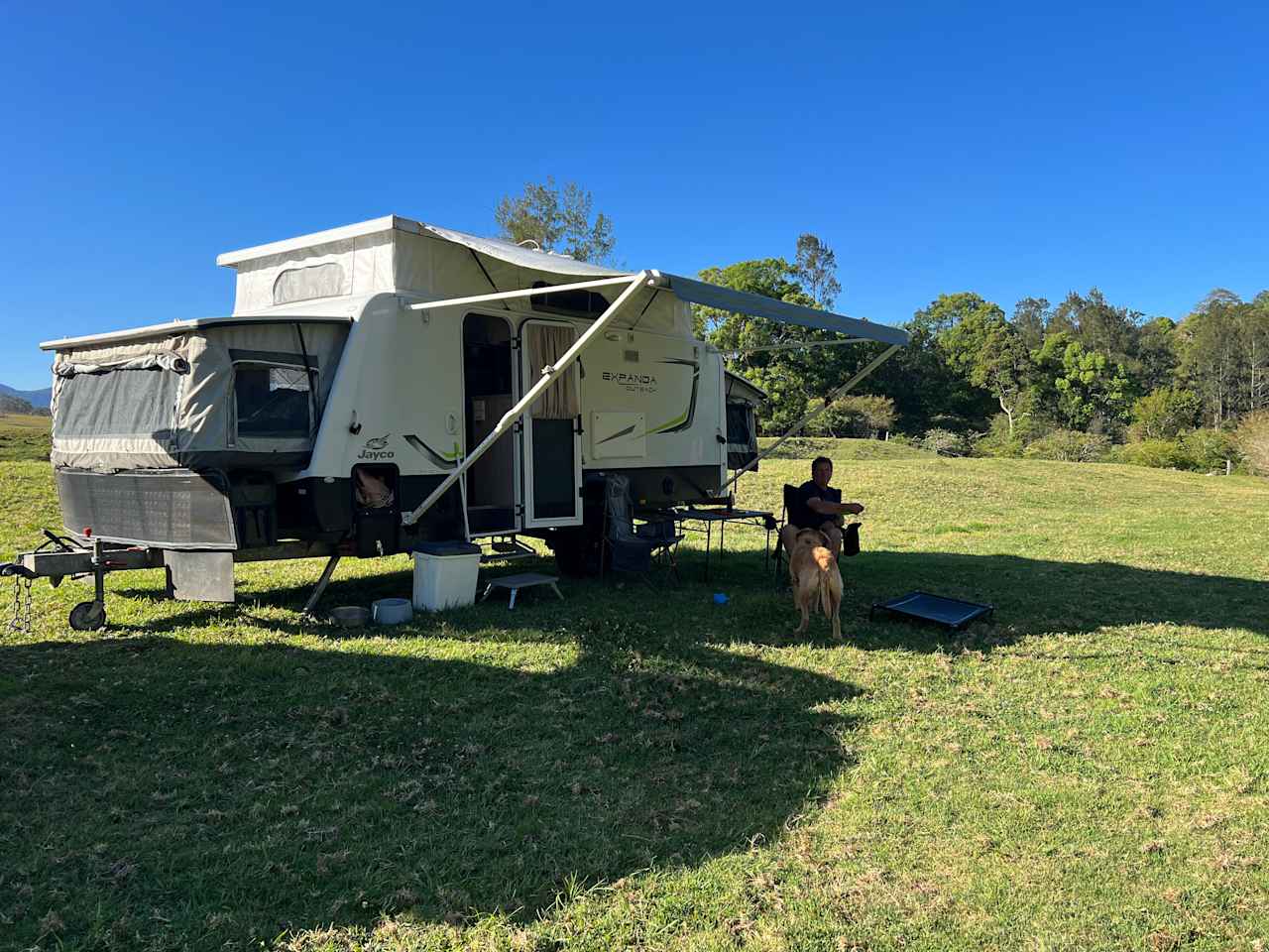 Bellinger River Camping