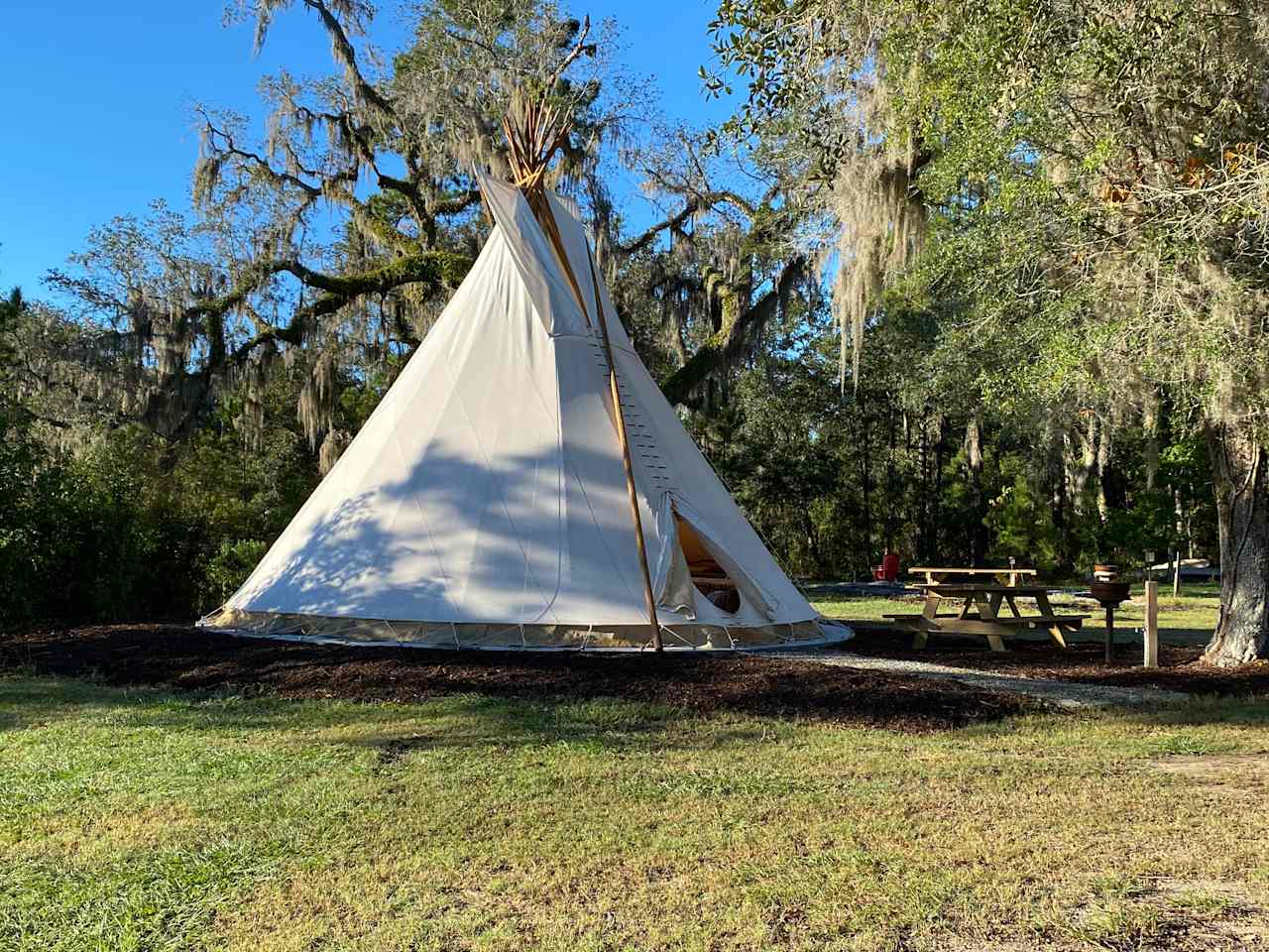 Broken Tree Tipi Experience