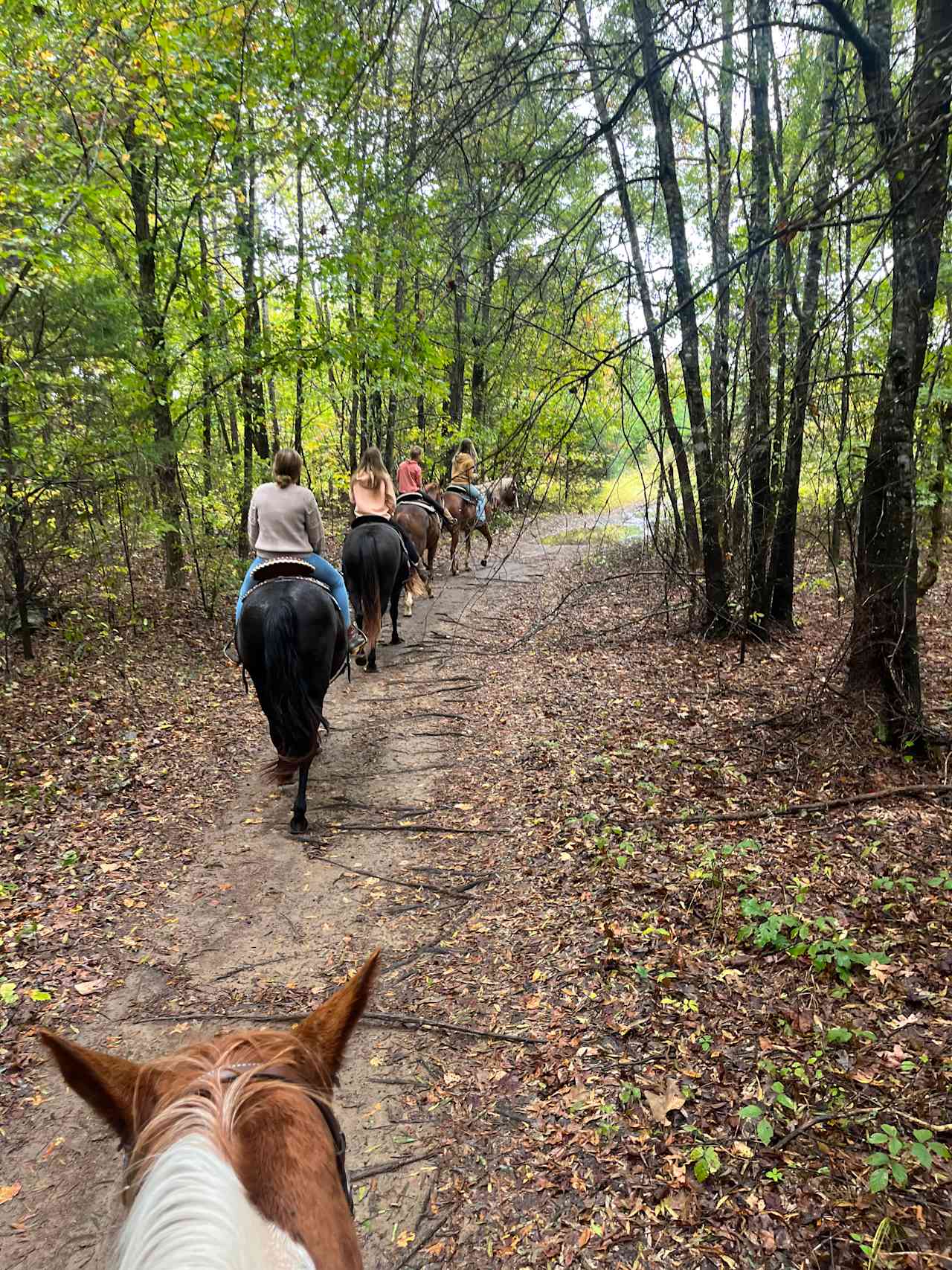 Trail riding 