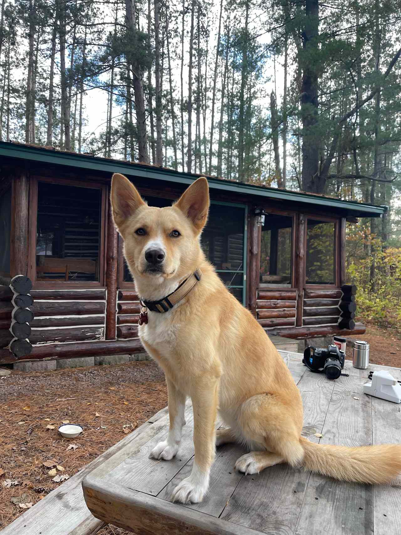 Harvest Loon Camp