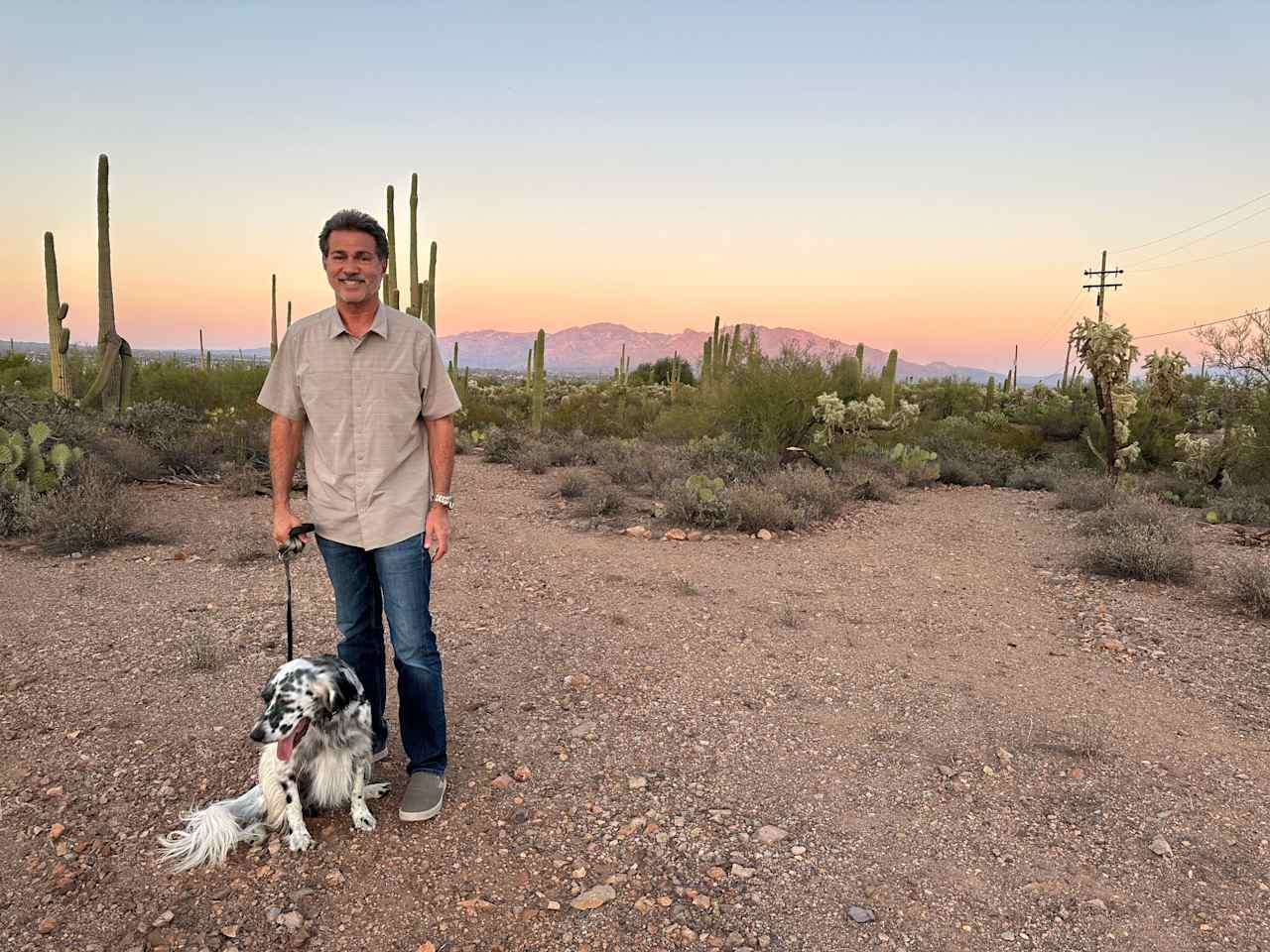 Tucson Saguaro sky