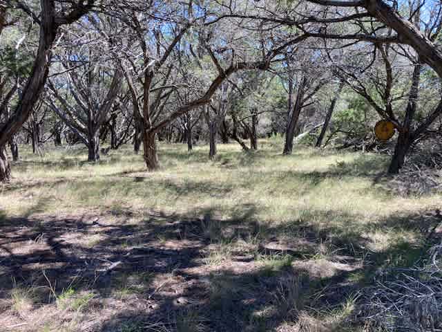 Laf ranch