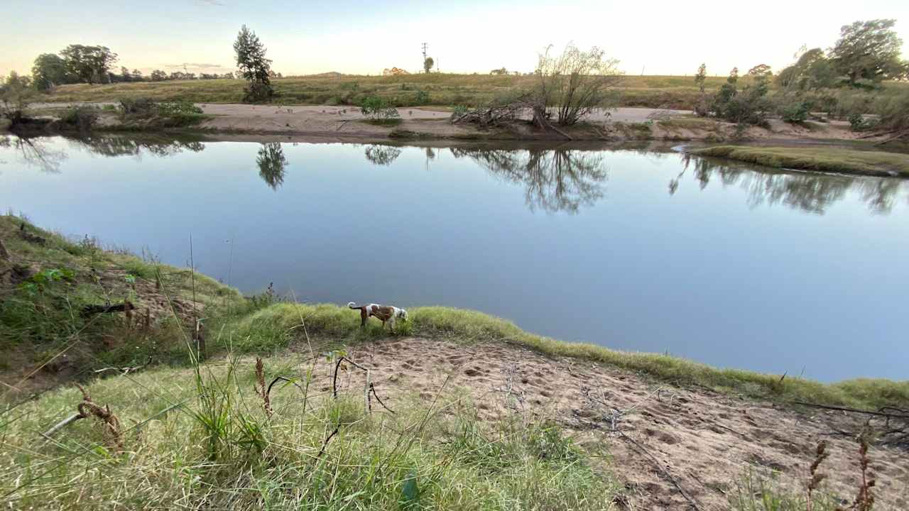 our big dog at the river