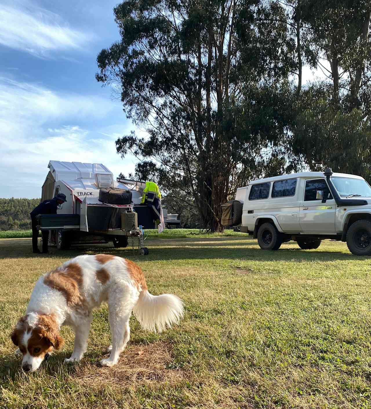 Eddies Beach Farm, Forest Hill