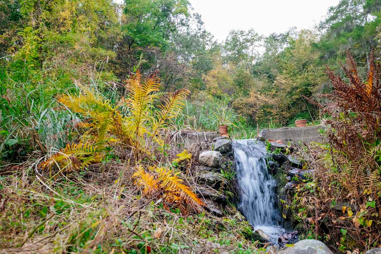 waterfall on property