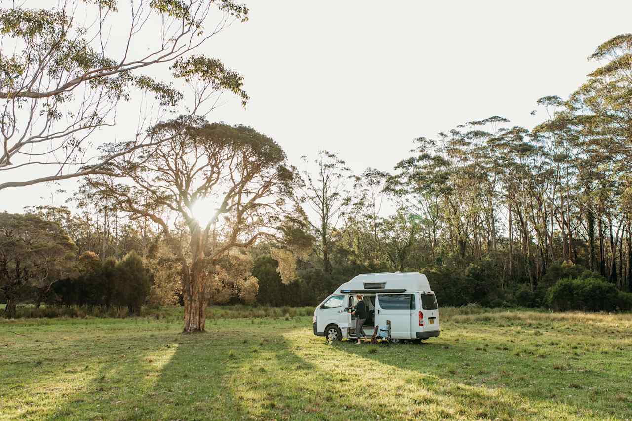 The Wandy Donkey Camp