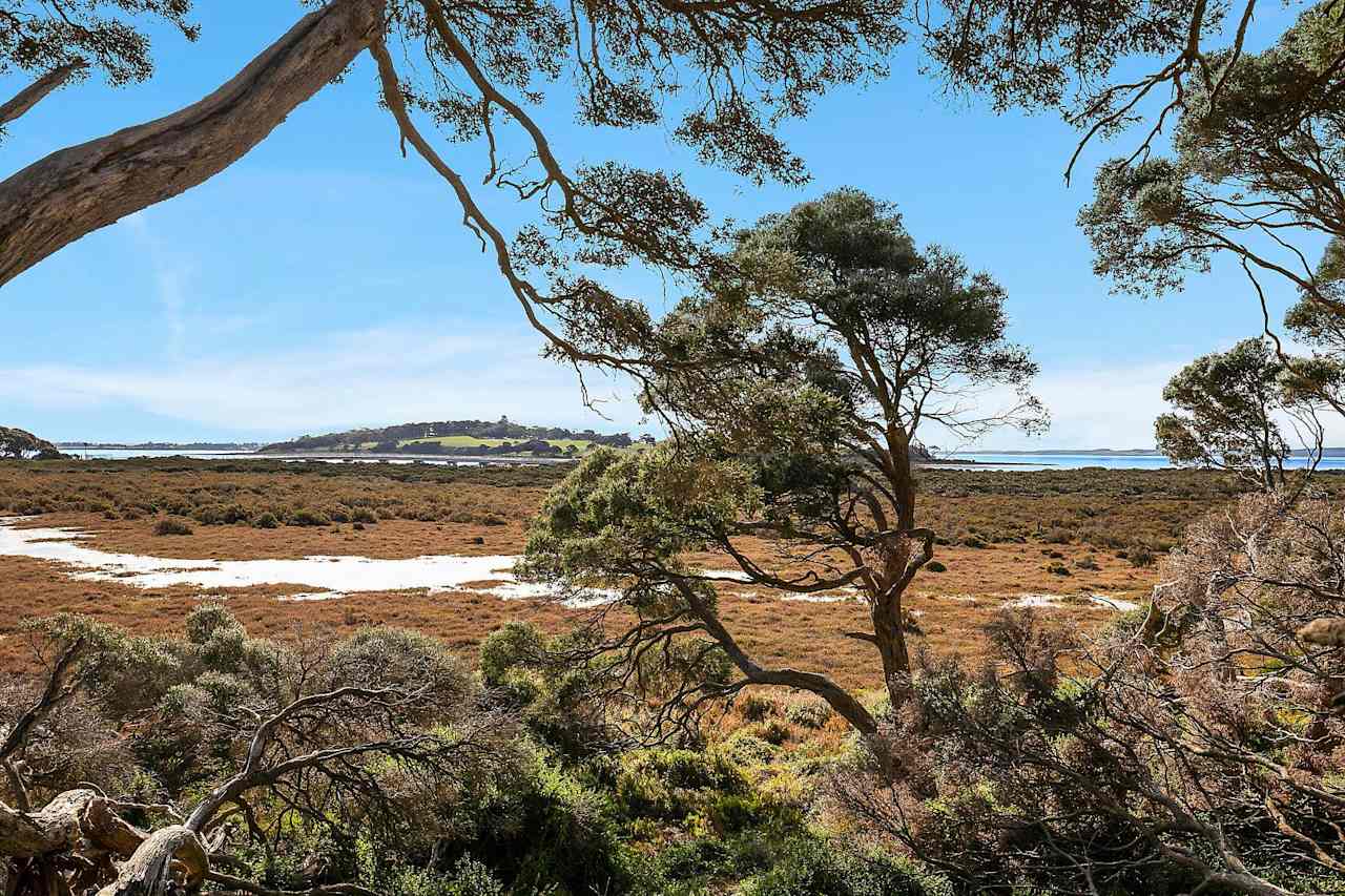 Churchill Island - Wetlands View
