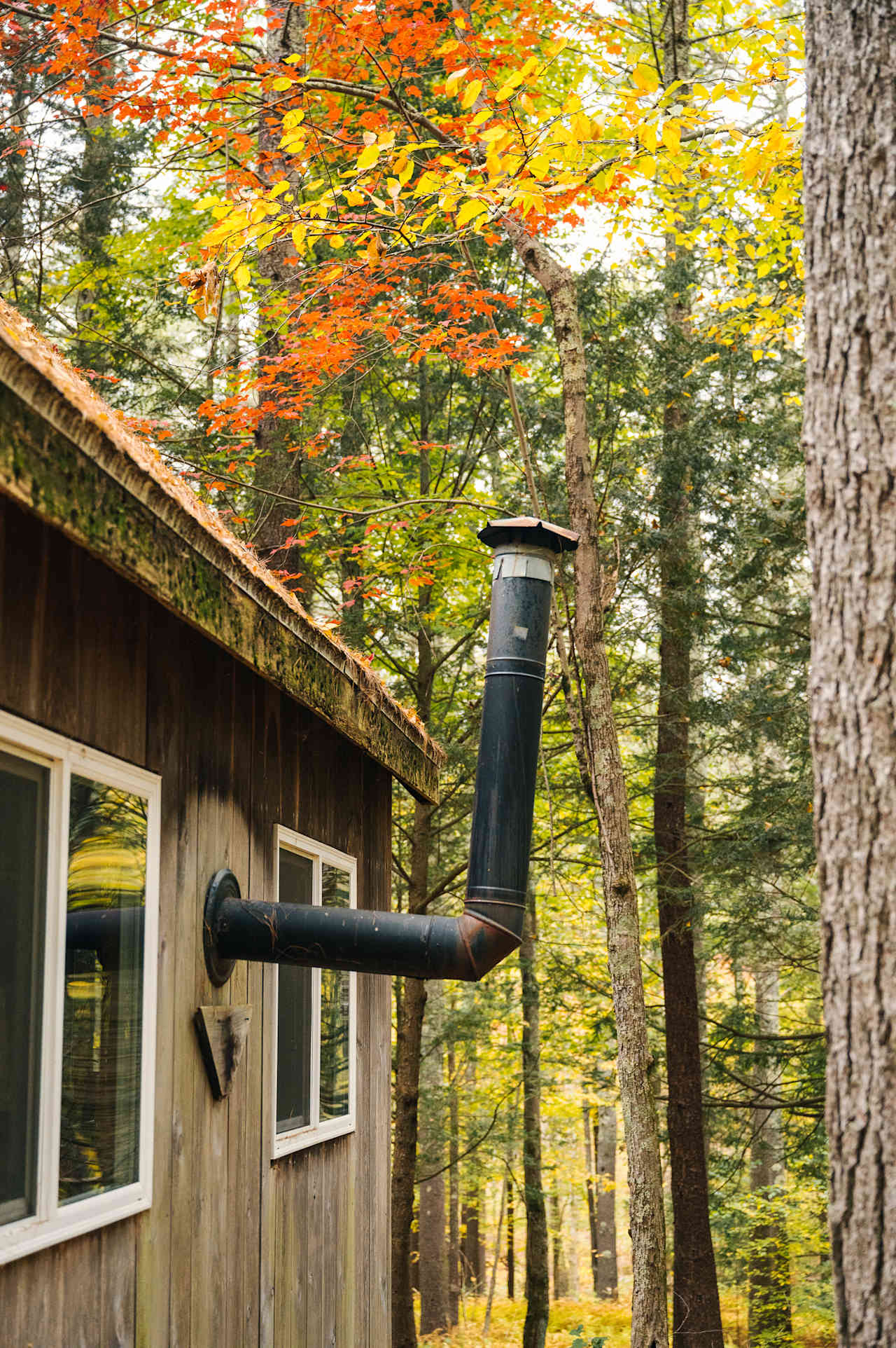 chimney and forest