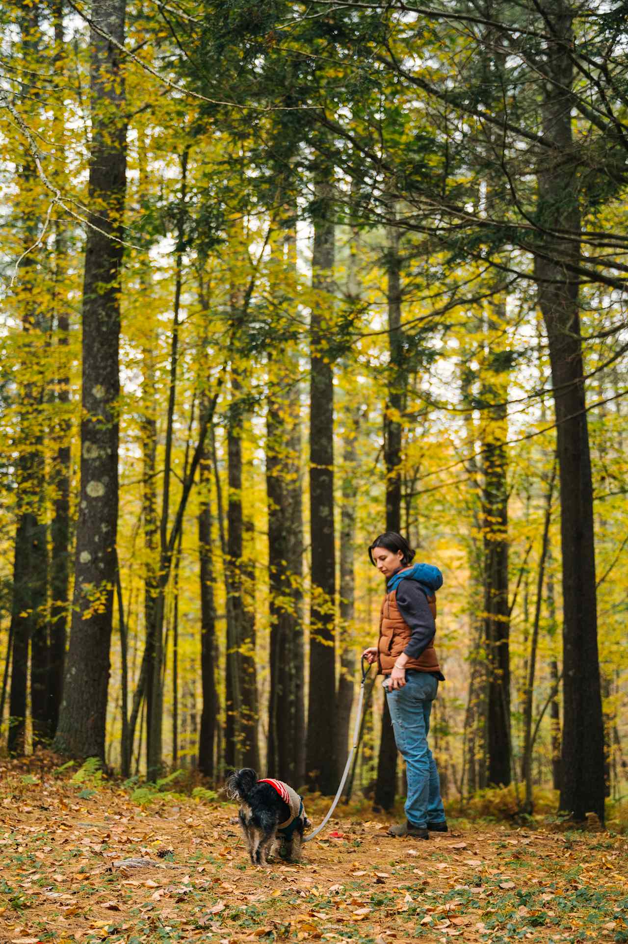 hiking trails 