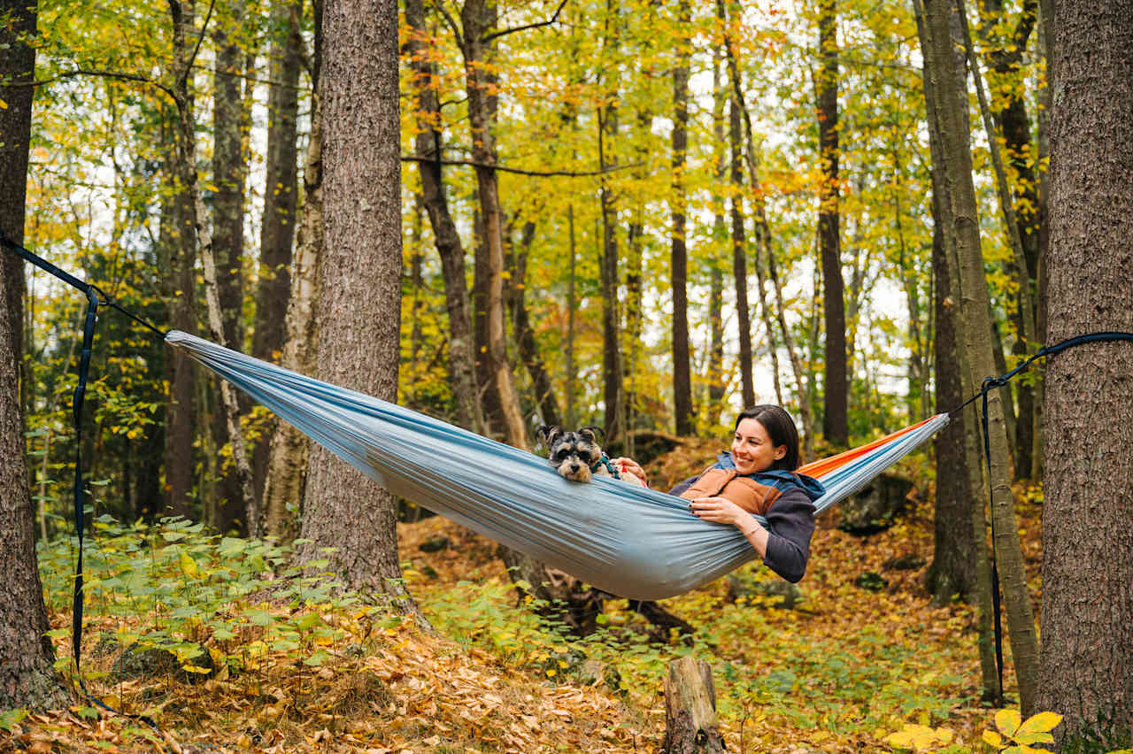 hammocking and bird watching