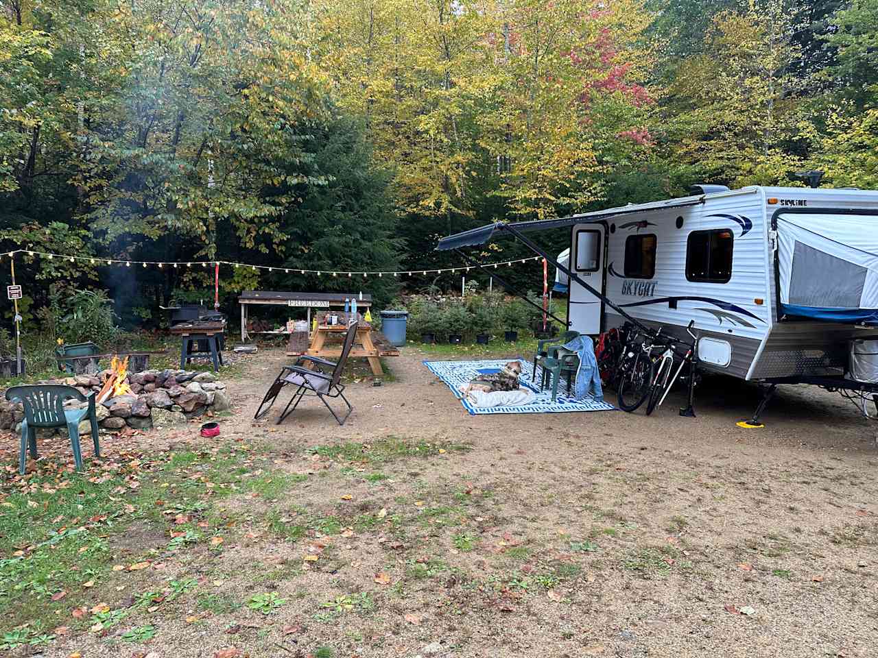 Hussey Mountain Tree Farm