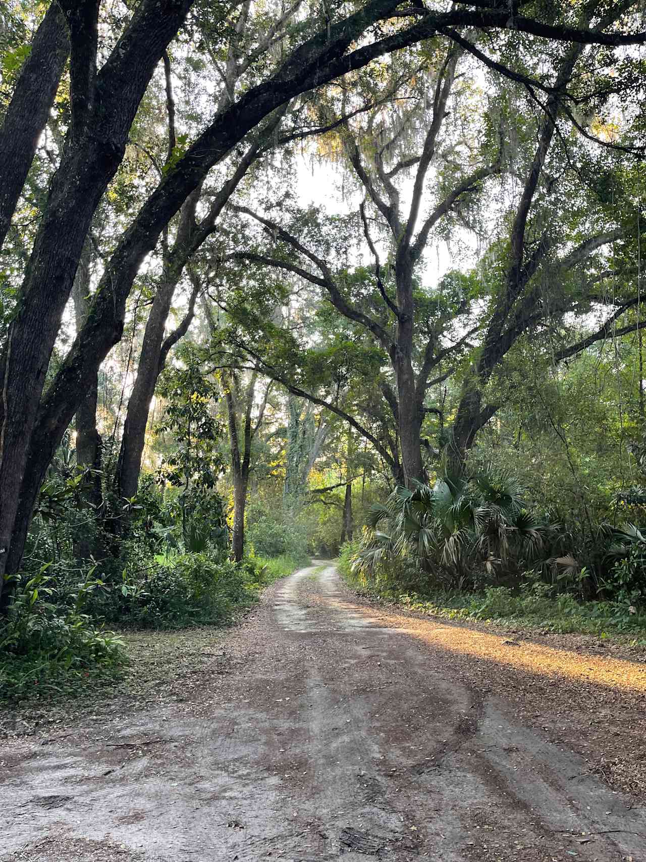 Entrance to Bike Trail Camp