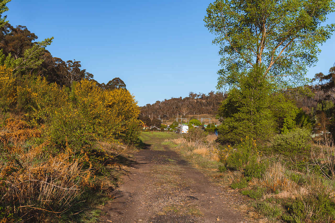 Access road to the campsite