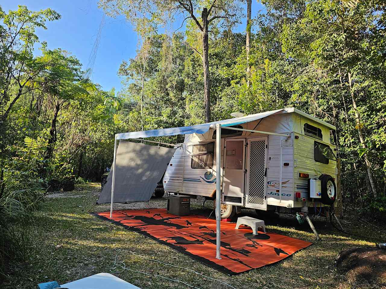 Forest Flying Camping