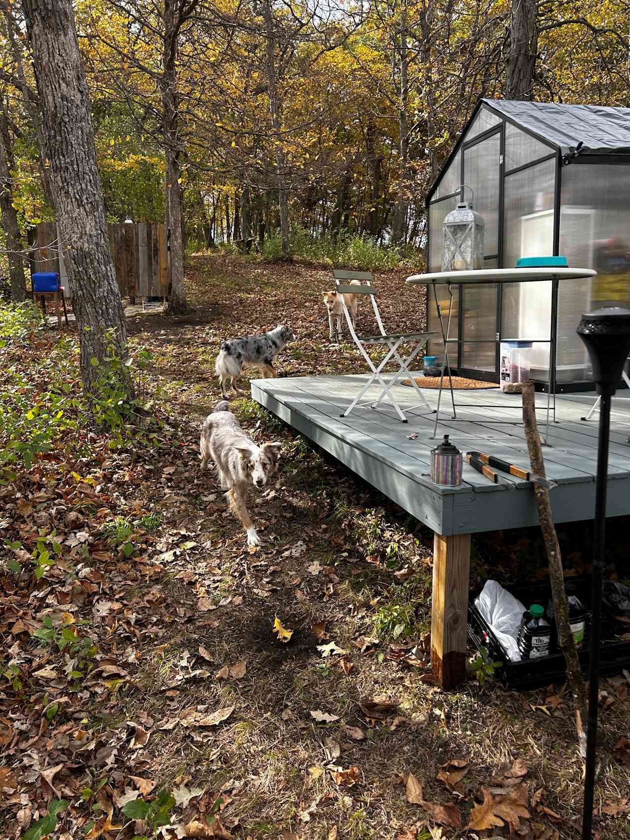 Cedar Springs Greenhouse