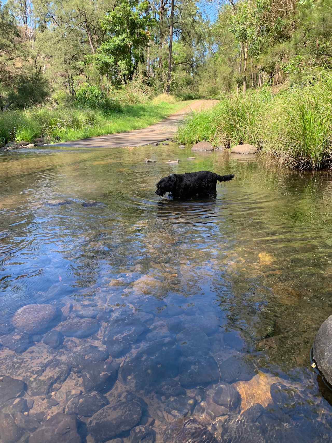 Hidden Valley Camping and Tea Gardens