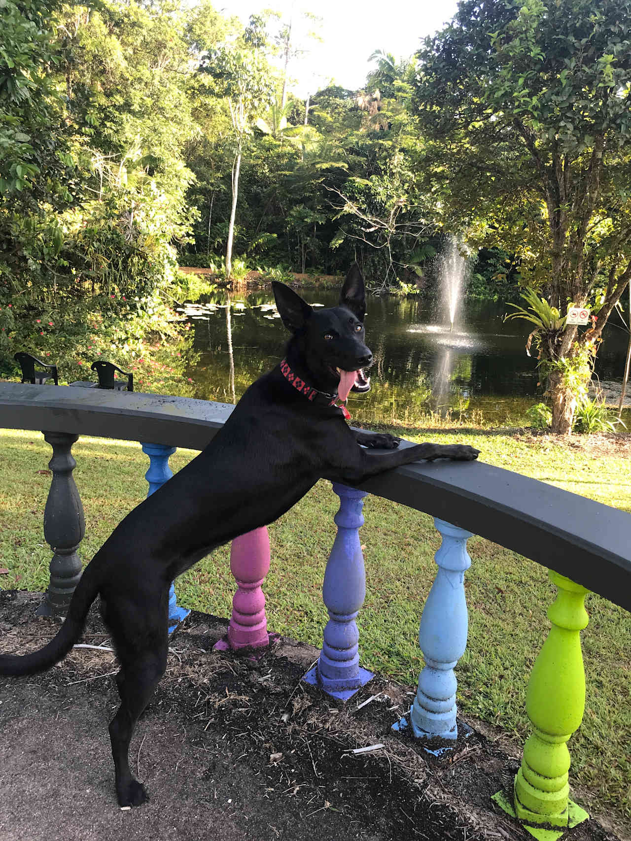 We forgot marshmallows so we didn’t use the fire pit but we loved exploring the grounds. Kept doggy close just incase of wild life both her safety and theirs.