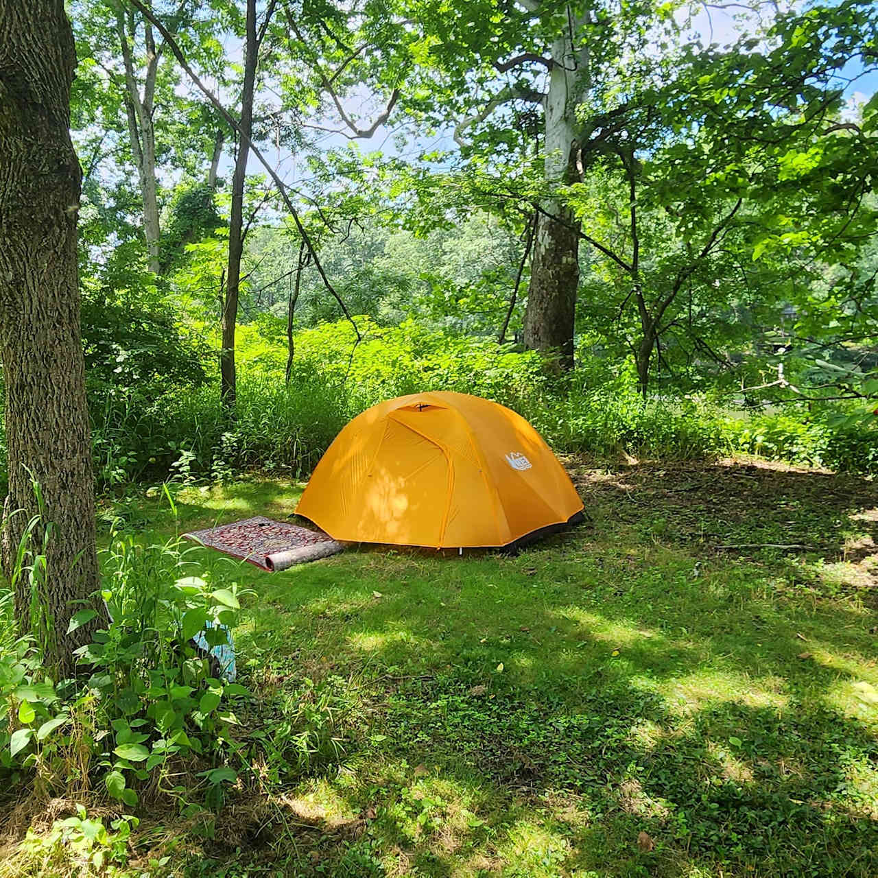 Camping spot tucked back in the left side of the main cabin field beside the river