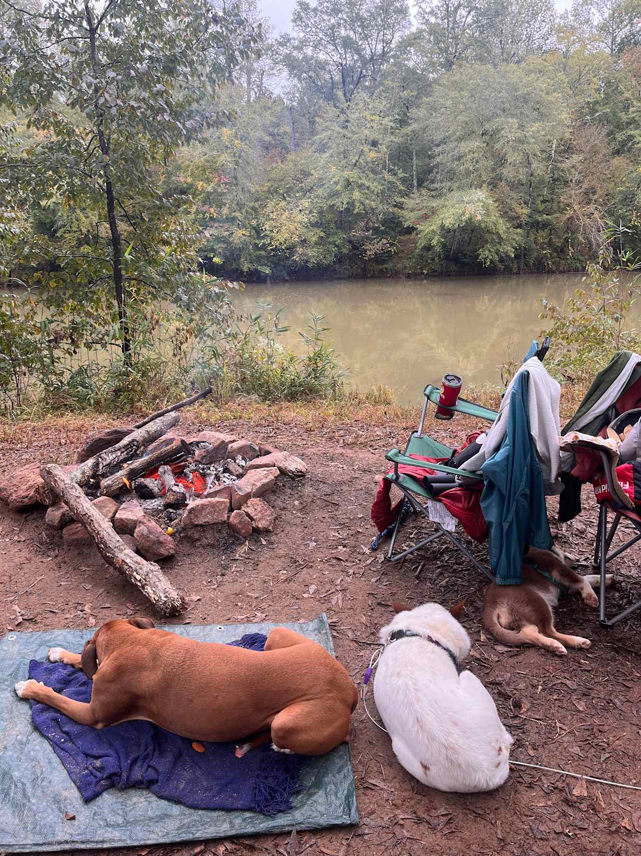 Serenity on the Saluda