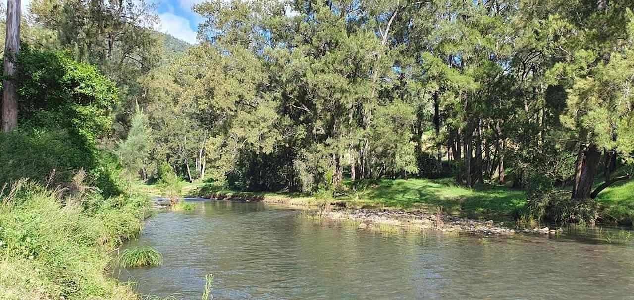 View of creek access from the other sice of the creek