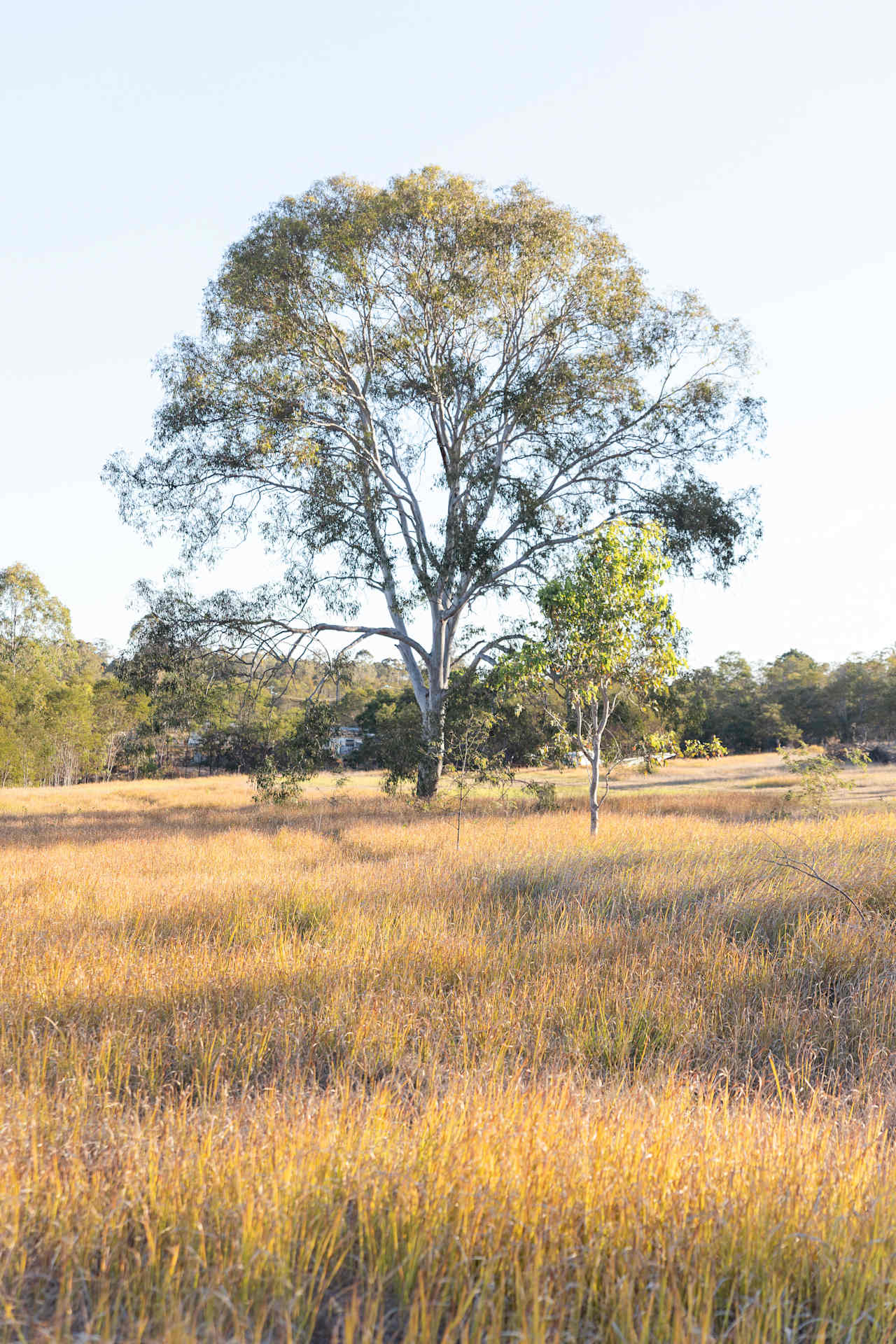 Bishop Farm Camp