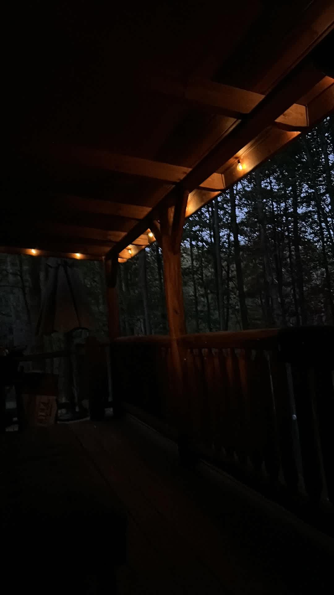 Cozy mountain log cabin