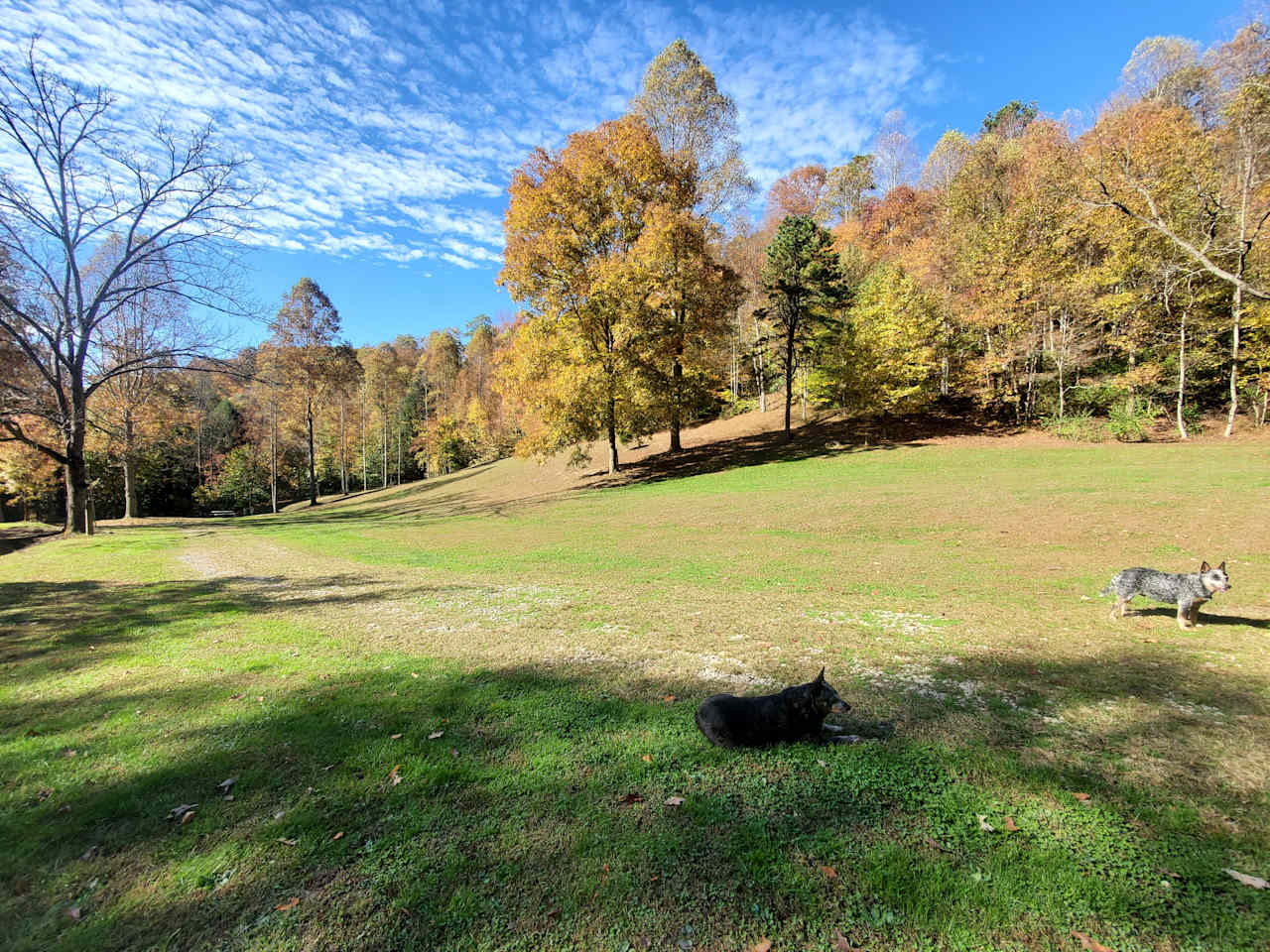 Flat Hollow Farm