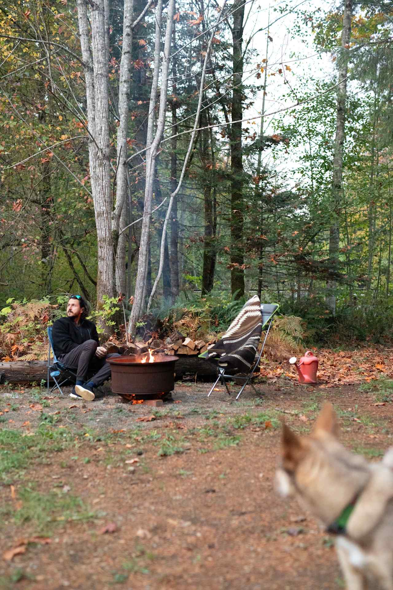 The fire pit in front of the pond. Plenty of dry wood provided!