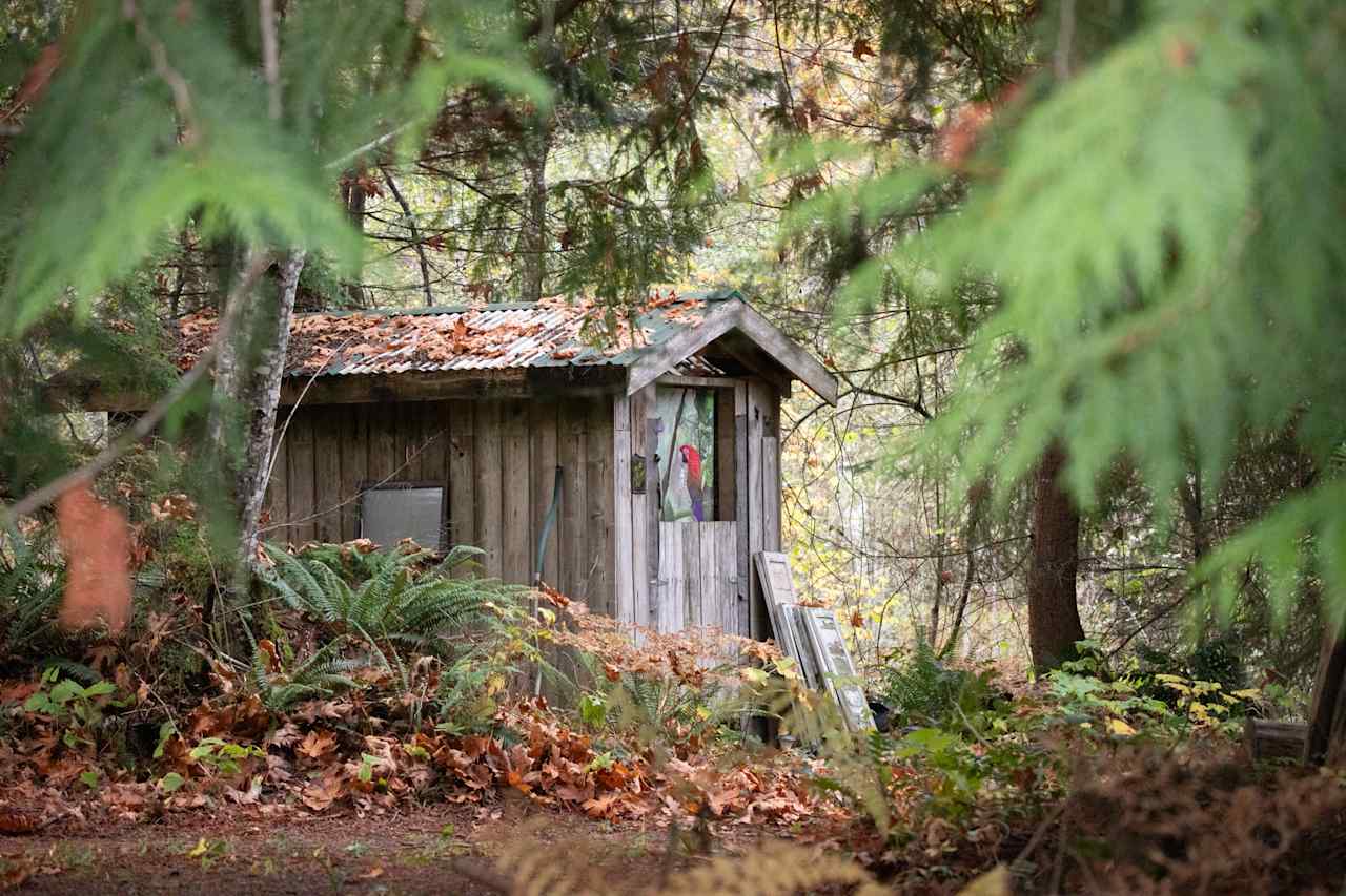 Outhouse stocked with TP, sanitizer, and lighting.