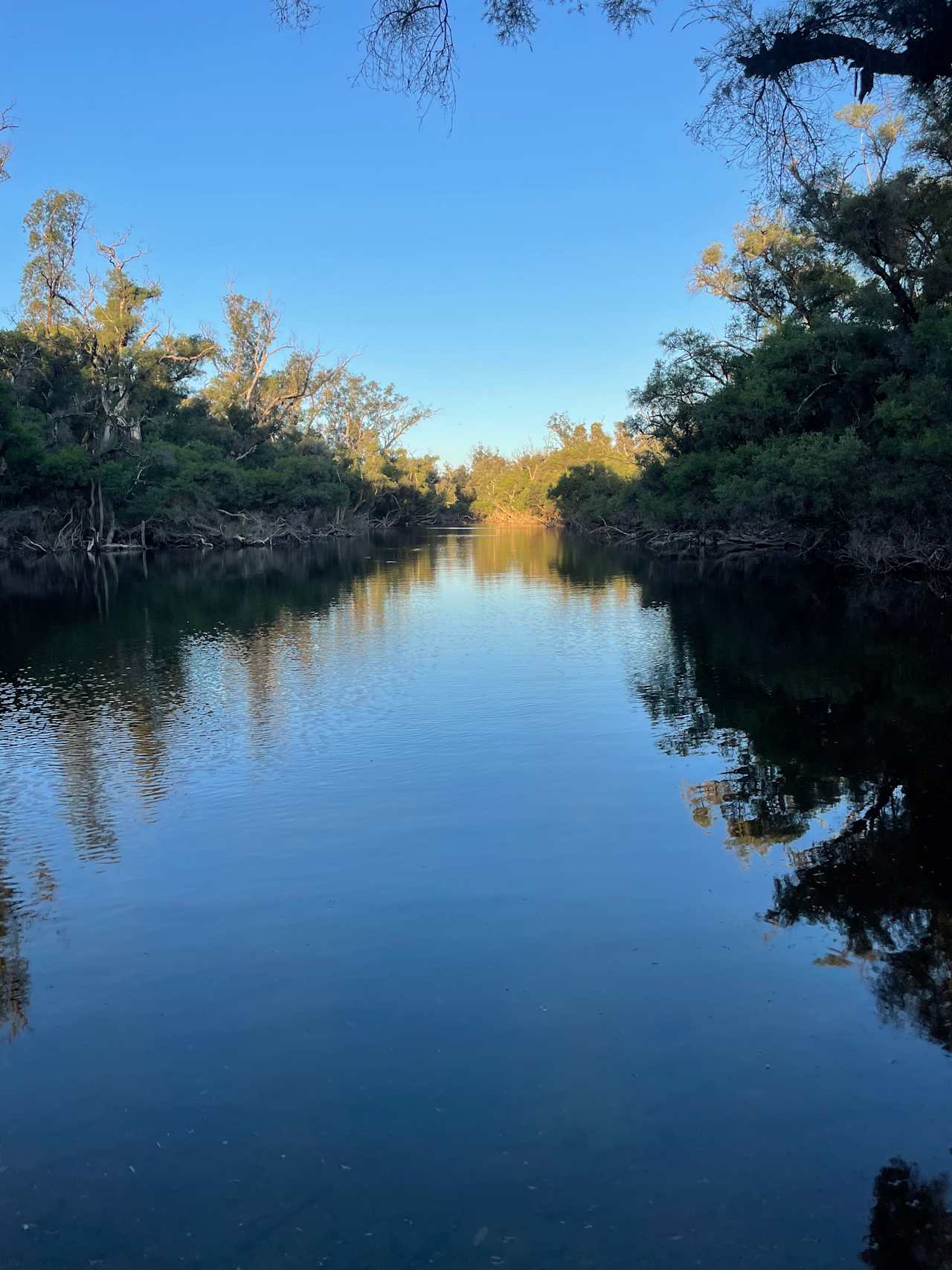 Murray Valley Camping