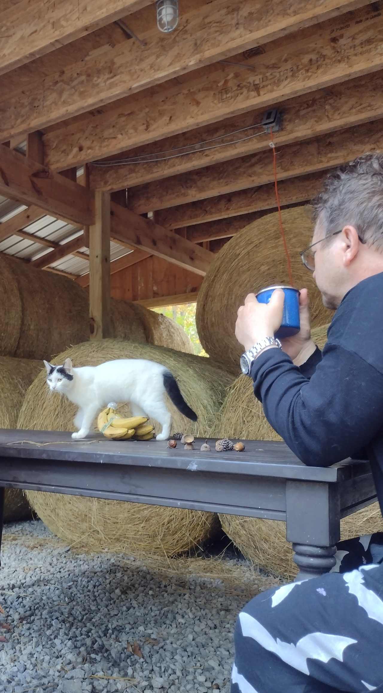 Coffee with a kitty, an unexpected treat!