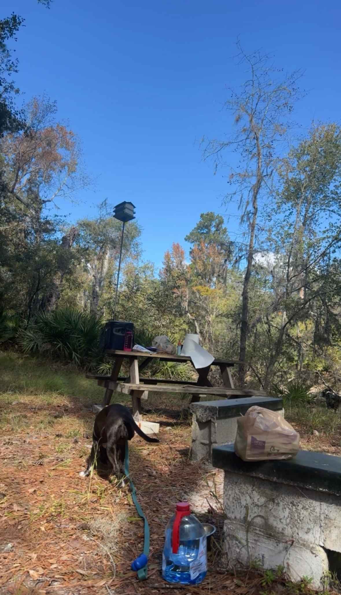 Picnic table next to fire pit 