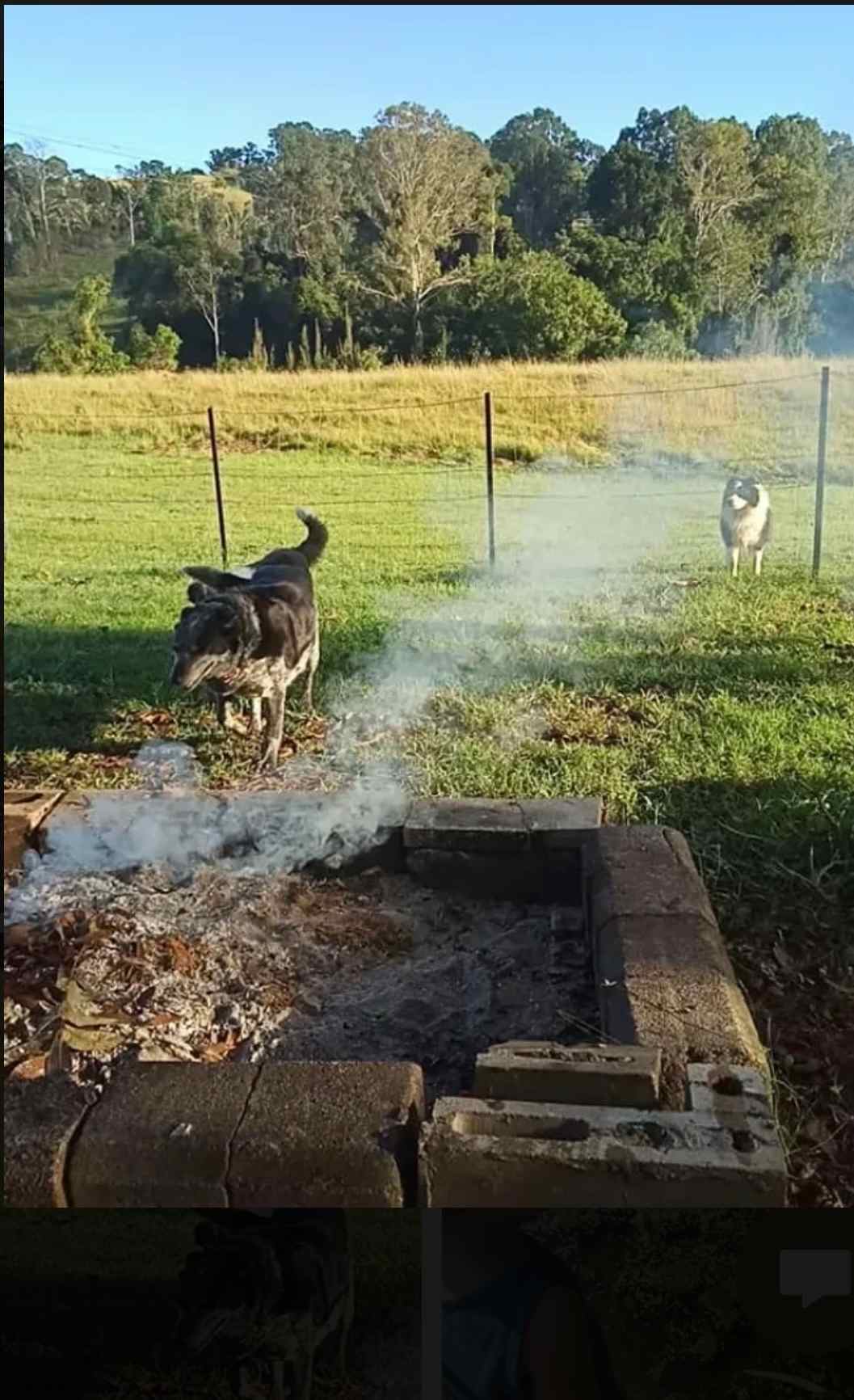 Kandanga Creekside Camping