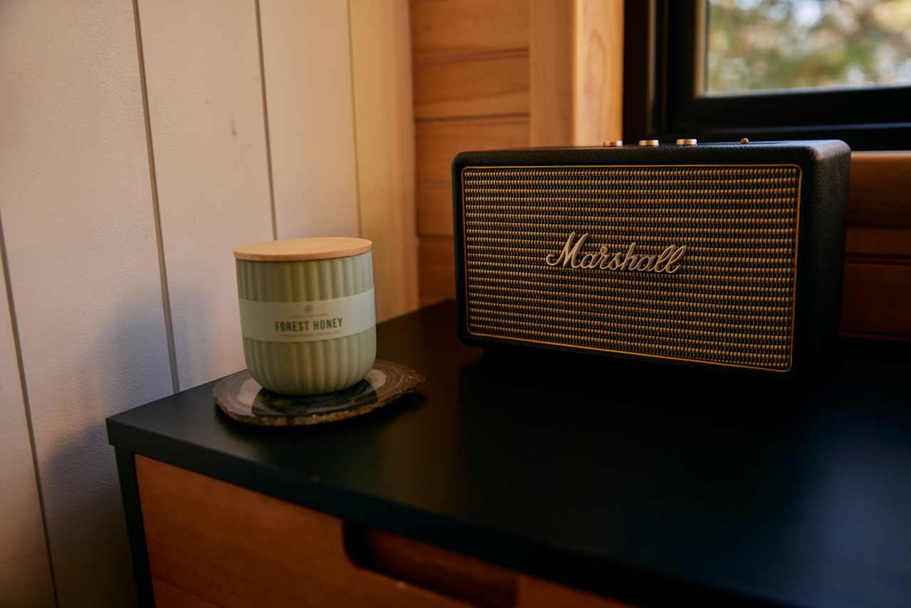 Marshall speaker