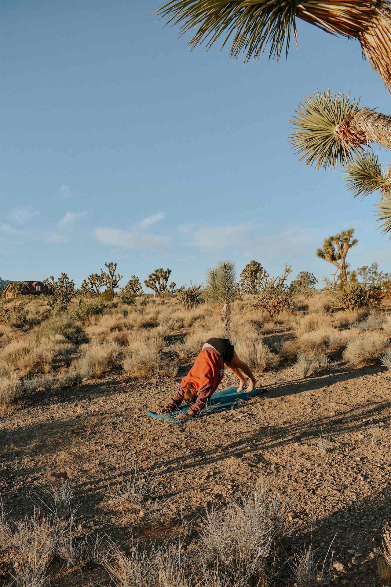 The cleared tent site was perfect for morning yoga!