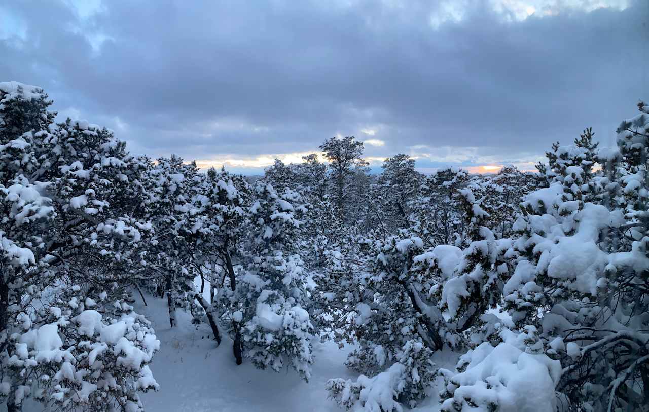 Santa Fe Forest Getaway