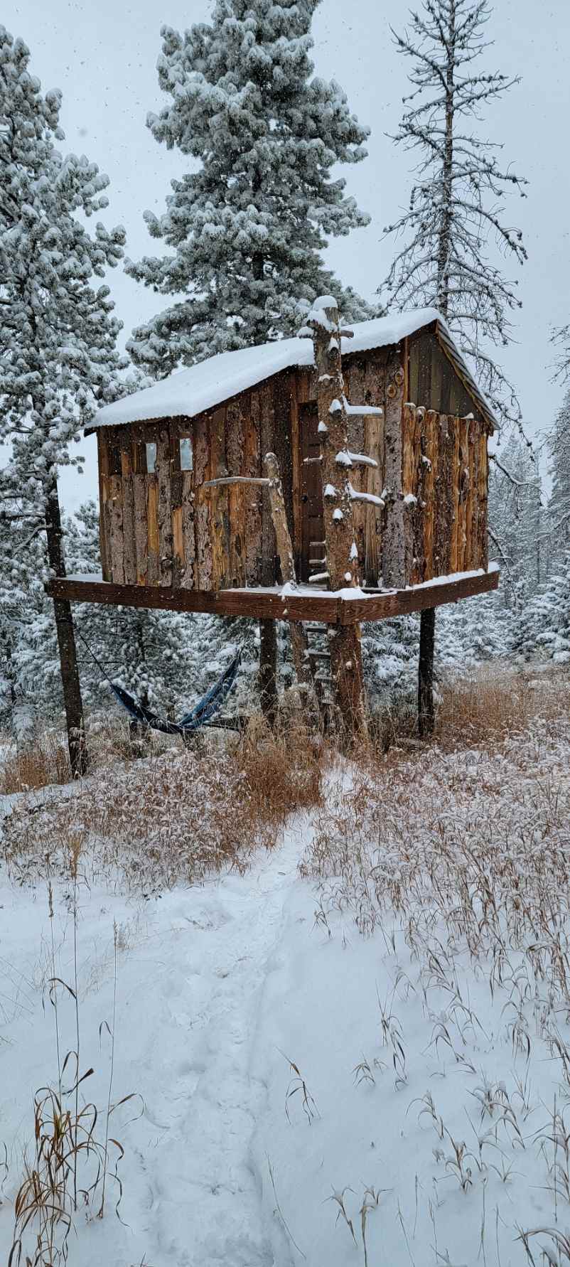 Gold Nugget Tree House