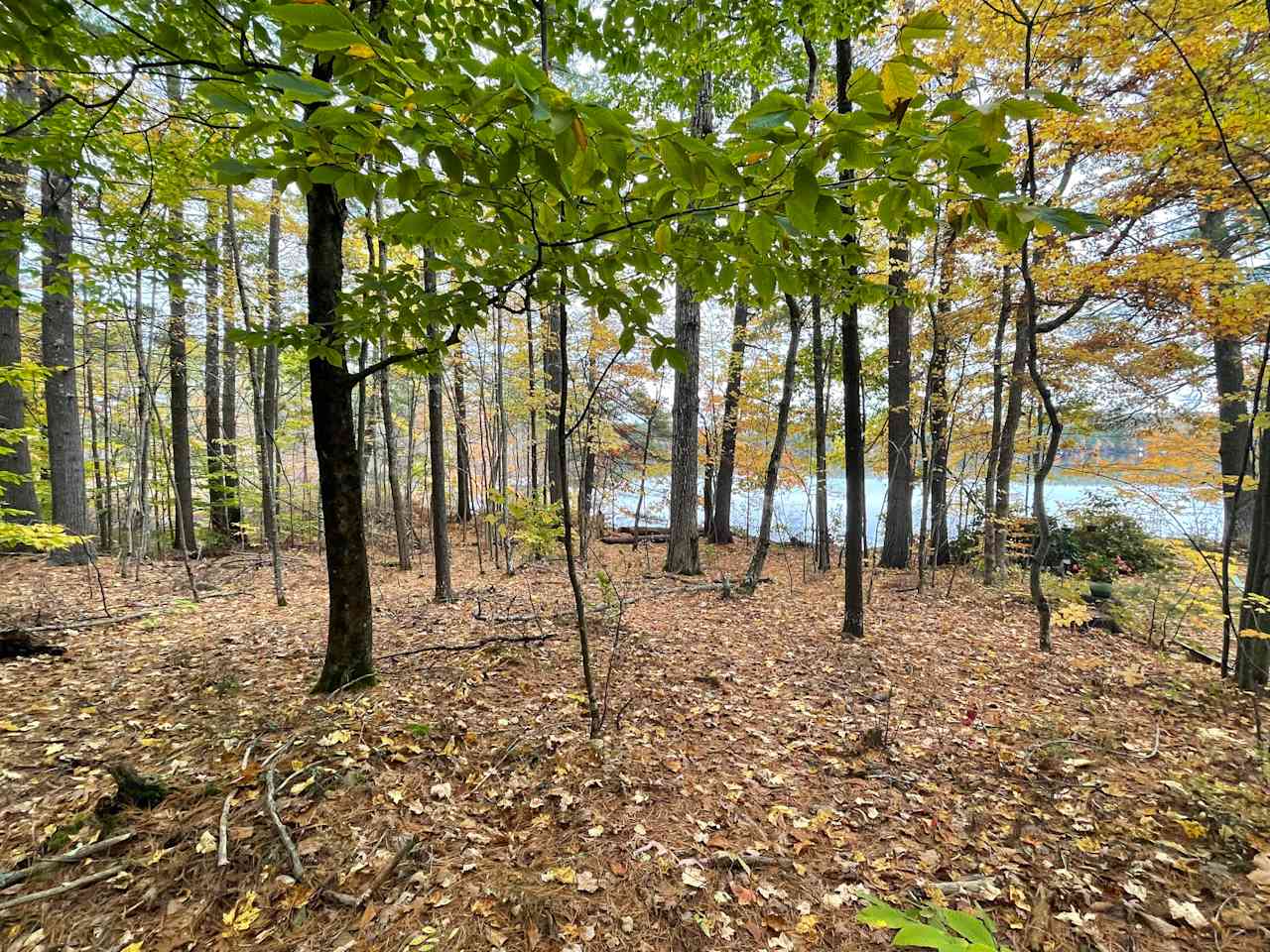 One of several private hiking trails just past your campsite.  This particular trail tracks the shoreline along Thomas Pond.