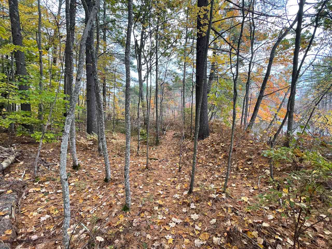 Another footpath.