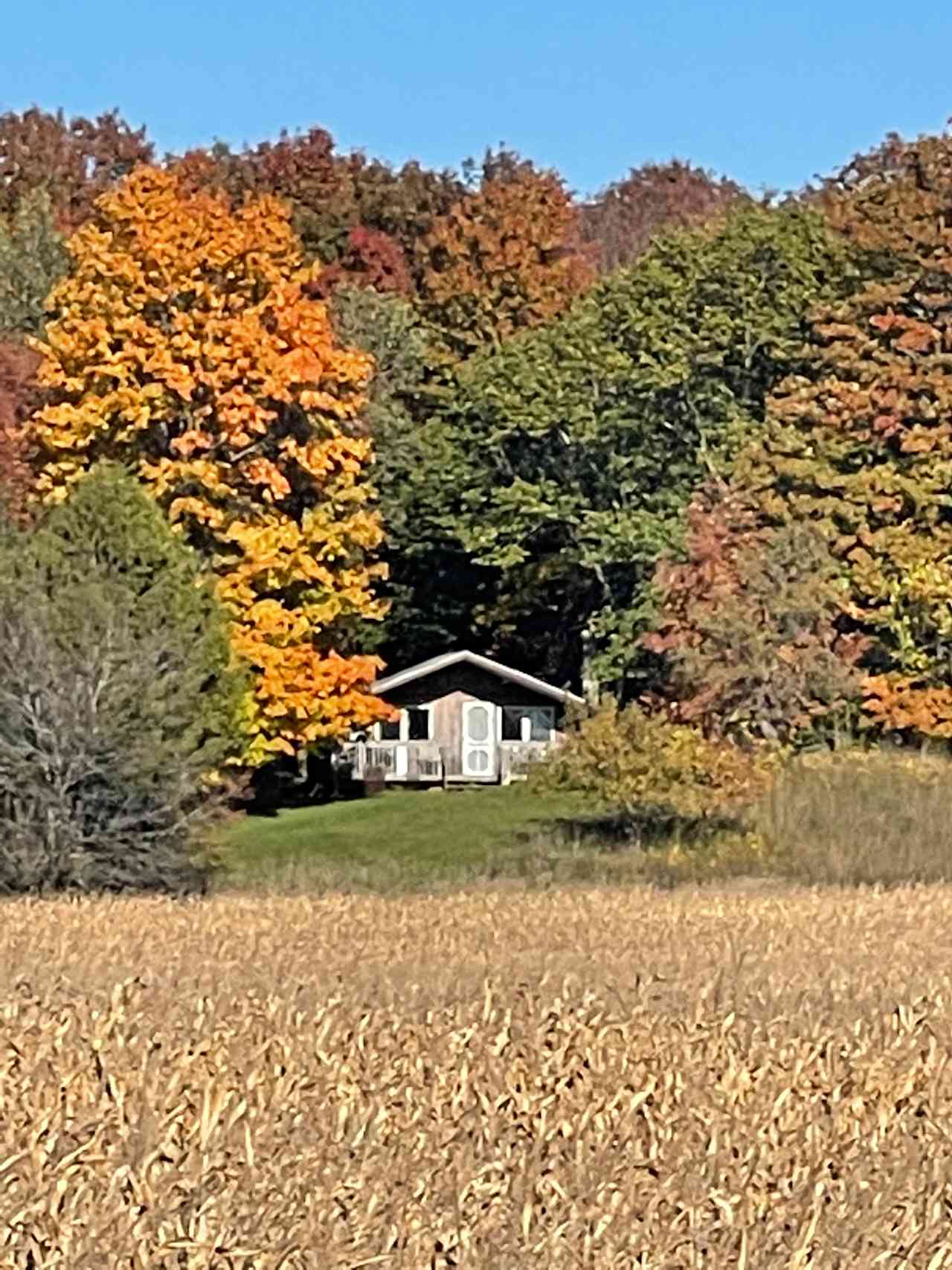 Chapelwood Chalet