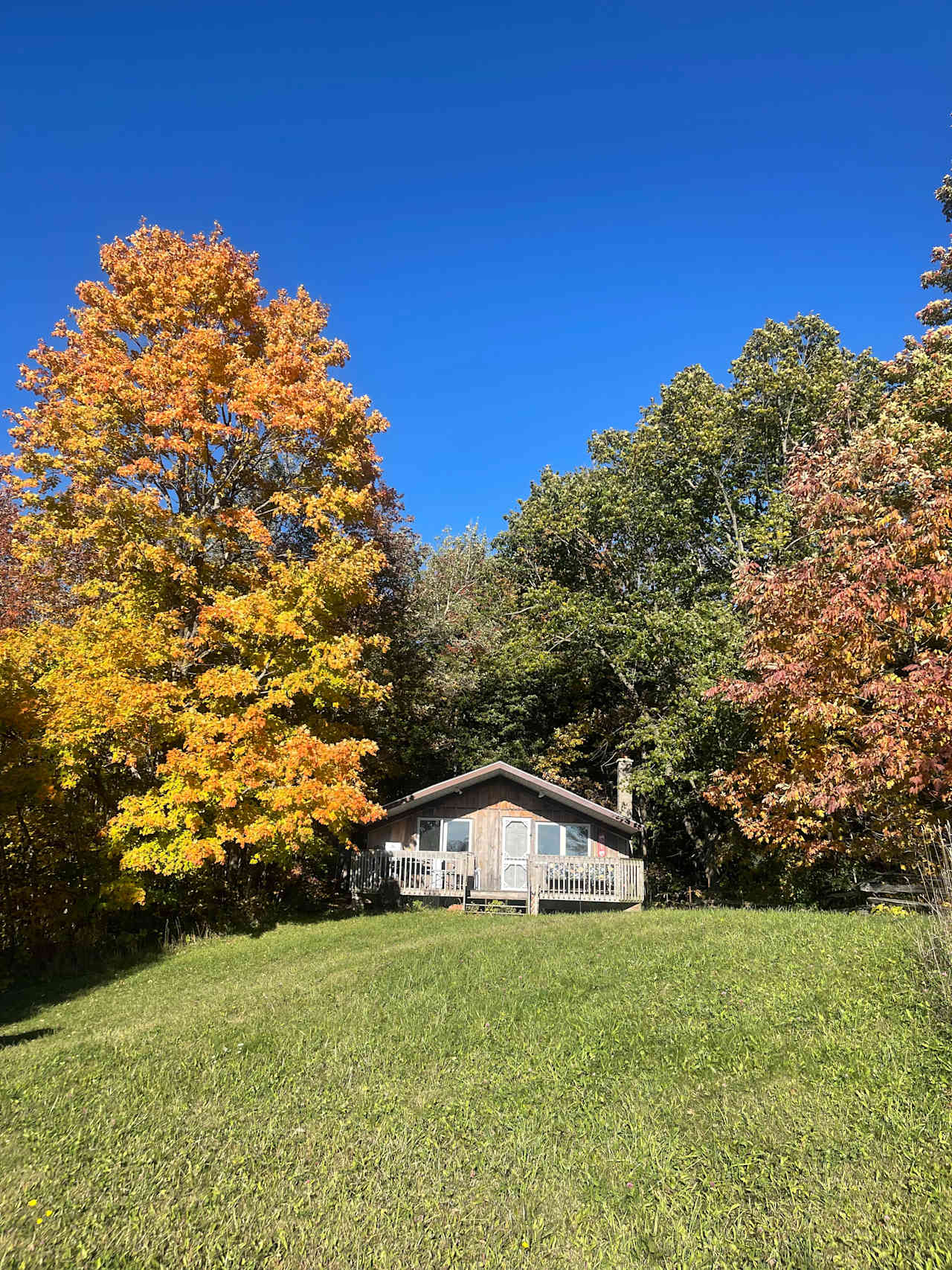 Chapelwood Chalet