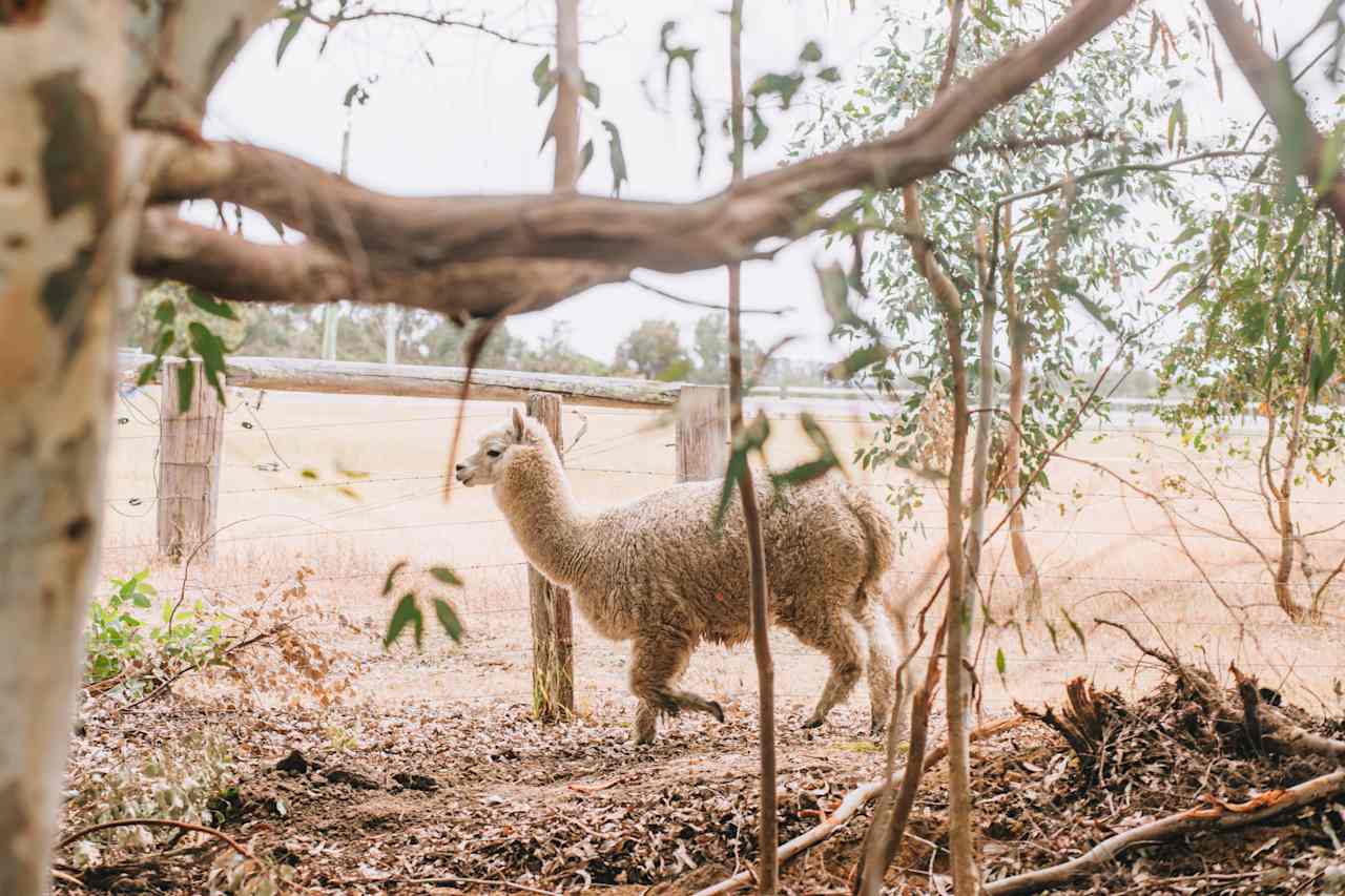 Herron Point Farm Stay