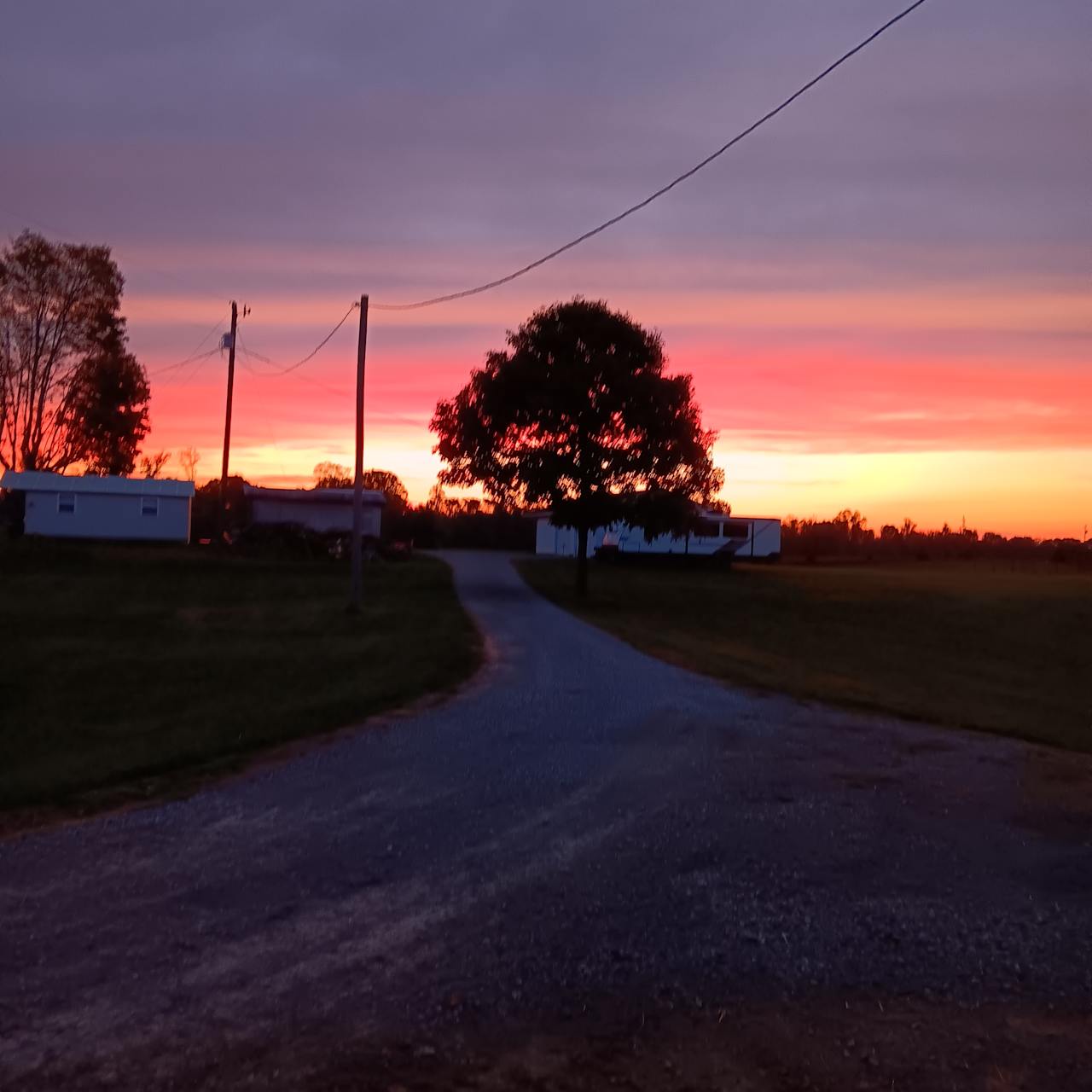 Tolster Farms