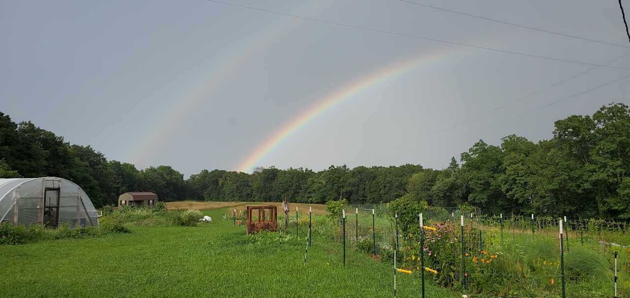 Bird Fork Farm